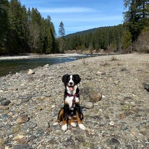 Meet your Posher, Tara